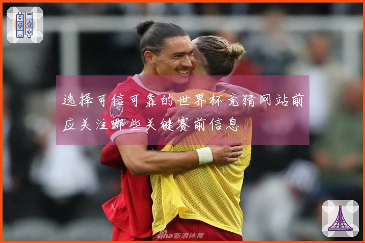 选择可信可靠的世界杯竞猜网站前应关注哪些关键赛前信息