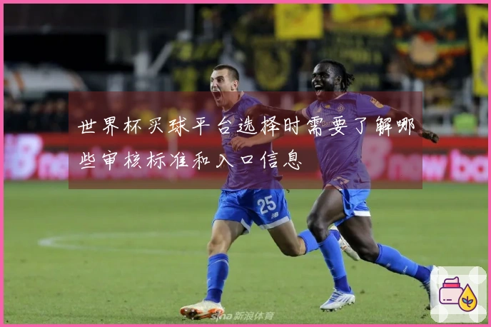世界杯买球平台选择时需要了解哪些审核标准和入口信息