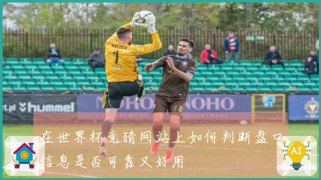 在世界杯竞猜网站上如何判断盘口信息是否可靠又好用