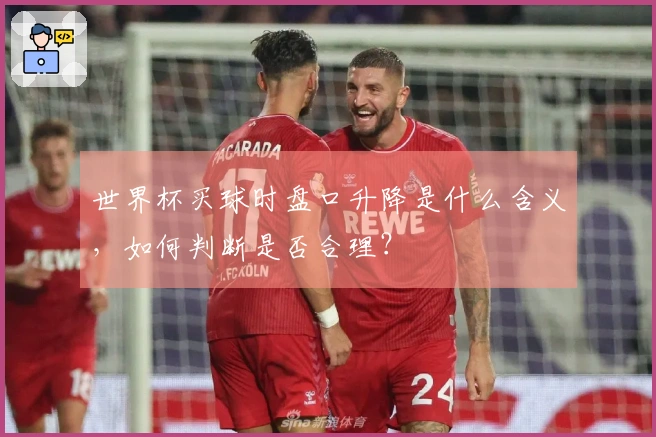 世界杯买球时盘口升降是什么含义，如何判断是否合理？
