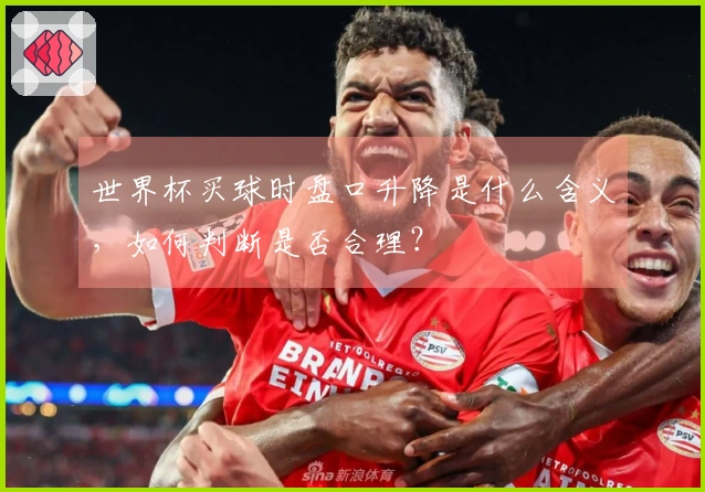 世界杯买球时盘口升降是什么含义，如何判断是否合理？