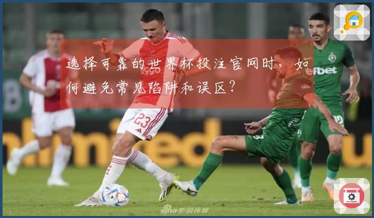 选择可靠的世界杯投注官网时，如何避免常见陷阱和误区？