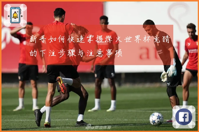 新手如何快速掌握烽火世界杯竞猜的下注步骤与注意事项